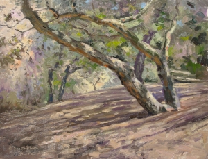 Shady Oaks