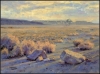 Mojave Sunrise