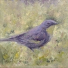 The Visitor