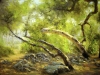Afternoon- Monrovia Canyon