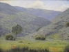 On the Canyon Road
