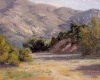 Vista Verde